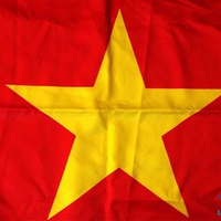 Từ ngày 16/12/2021 đến hết ngày 20/12/2021:Hưng Yên treo cờ đón tuổi 190