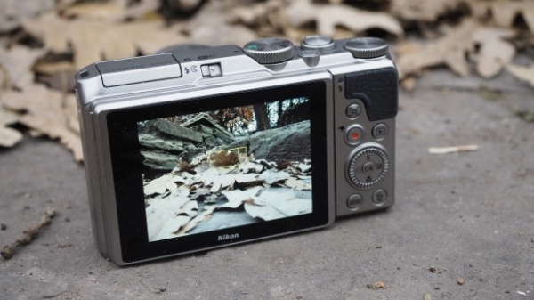 Chụp ảnh đẹp với máy ảnh Nikon Coolpix A900 PNS đa năng