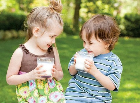Sữa có giá trị dinh dưỡng như thế nào đối với cơ thể?